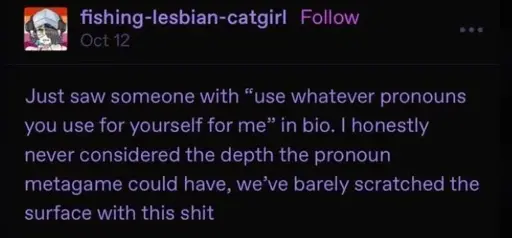 Just saw someone with "use whatever pronouns you use for yourself for me" in bio. I honestly never considered the depth the pronoun metagame could have, we've barely scratched the surface with this shit