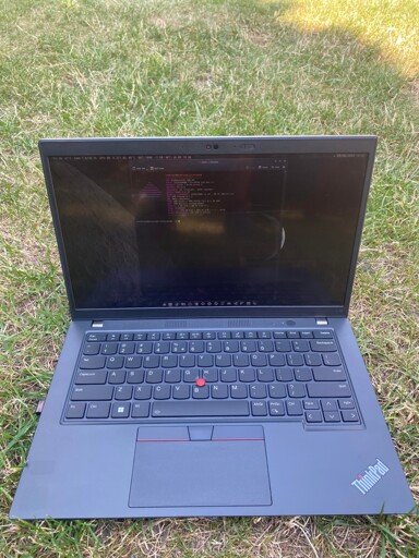 epic thinkpad in the grass