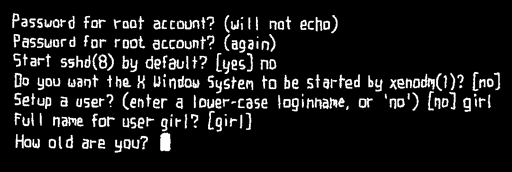 OpenBSD installation script prompts for the user's age.