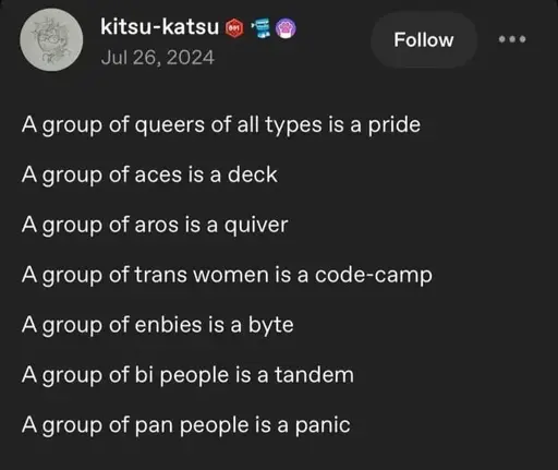 A group of queers of all types is a pride. A group of aces is a deck. A group of aros is a quiver. A group of trans women is a code-camp. A group of enbies is a byte. A group of bi people is a tandem. A group of pan people is a panic