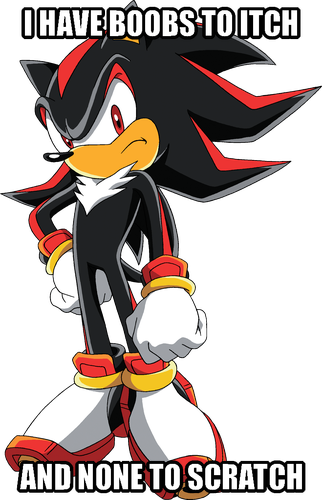 Captioned image of Shadow the Hedgehog from the Sonic the Hedgehog franchise. The text at the top of the image reads "I have boobs to itch". The text at the bottom of the image reads "and none to scratch".