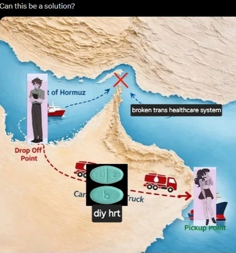 A map of the strait of hormuz showing how the strait is closed for those attacking iran and a plan to bypass the block by going over land across the UAE and oman, but edited to instead show the strait being closed for trans people because of the broken trans healthcare system and how it can be bypassed with DIY HRT